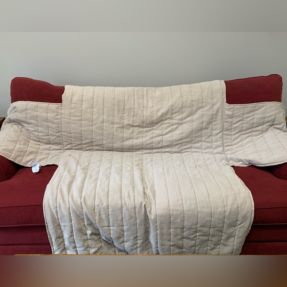 Loveseat Pet Friendly Slipcover